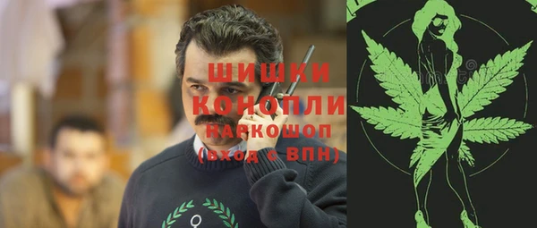 spice Аркадак