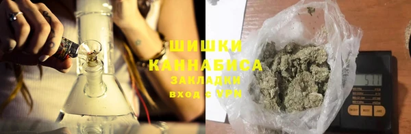 spice Аркадак