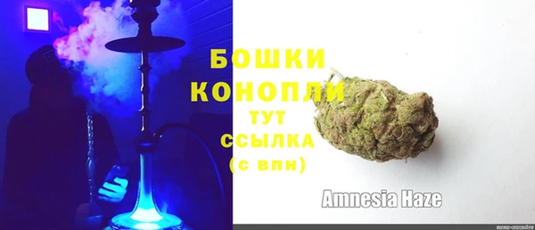 spice Аркадак