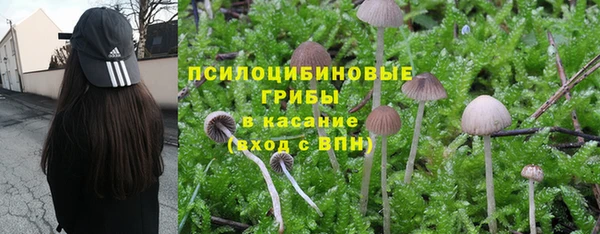 кокс Арсеньев