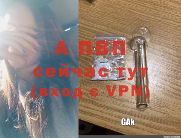 spice Аркадак