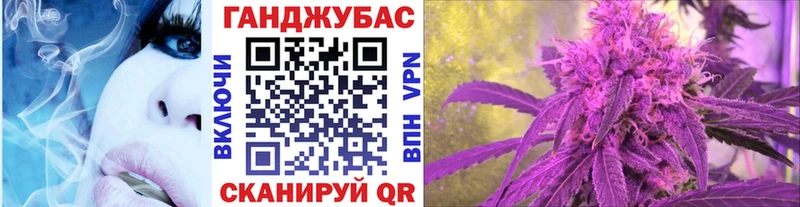 Конопля сатива  Льгов 